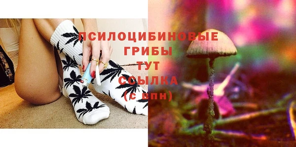 ешки Абаза