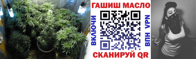 ТГК концентрат гидра ССЫЛКА Энгельс