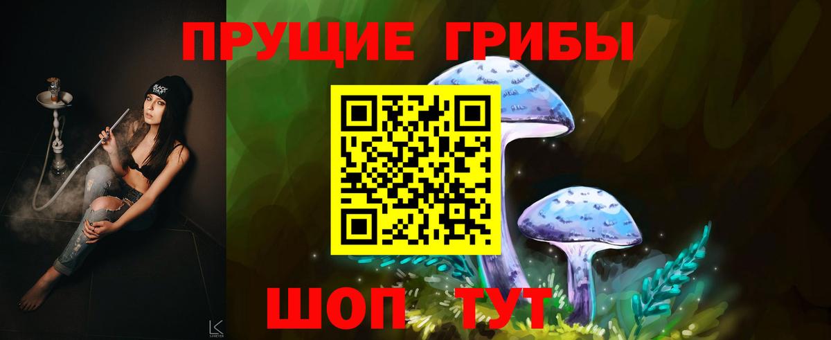Псилоцибиновые грибы Psilocybe Энгельс