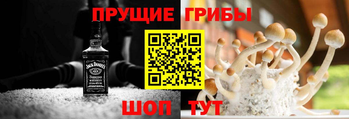 Псилоцибиновые грибы MAGIC MUSHROOMS  Вход с VPN  Энгельс 